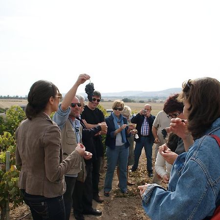 ולבואנה דה דוארו Hotel Rural Emina מראה חיצוני תמונה